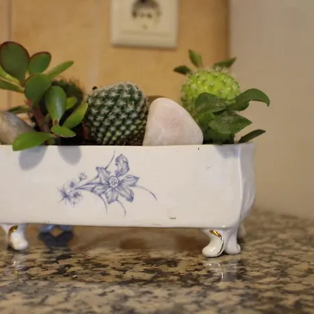 My House ポンテ・デ・リマ